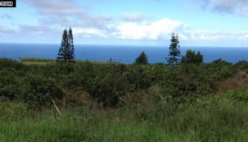 18 Lahaole Pl MCR 46 Wailuku, Hi vacant land for sale - photo 3 of 14