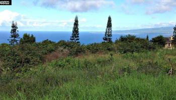 18 Lahaole Pl MCR 46 Wailuku, Hi vacant land for sale - photo 4 of 14