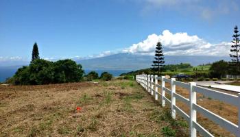 18 Lahaole Pl MCR 46 Wailuku, Hi vacant land for sale - photo 5 of 14