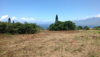 18 Lahaole Pl MCR 46 Wailuku, Hi vacant land for sale - photo 6 of 14