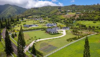 18  Lahaole Pl Maluhia Country Ranches, Wailuku home - photo 3 of 50