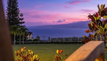 18  Lahaole Pl Maluhia Country Ranches, Wailuku home - photo 4 of 50