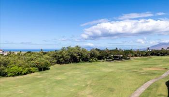 180 Halau Pl 10 Kihei, Hi vacant land for sale - photo 6 of 8