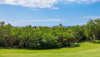 180  Halau Pl Wailea, Wailea/Makena home - photo 3 of 13