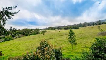 1818 & 1  (homestead Rd) Near Copp Road, Kula/Ulupalakua/Kanaio home - photo 3 of 15