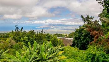 1818 & 1  (homestead Rd) Near Copp Road, Kula/Ulupalakua/Kanaio home - photo 4 of 15