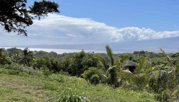 182 River Rd  Wailuku, Hi vacant land for sale - photo 2 of 11