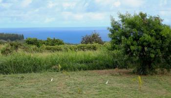 1827 Hookili Rd A Haiku, Hi 96708-6917 vacant land - photo 1 of 3 1827 Hookili Rd A Haiku, Hi 96708-6917 vacant land - photo 1 of 3