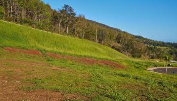 184 Laikeha Pl Lot 25 Wailuku, Hi vacant land for sale - photo 3 of 46