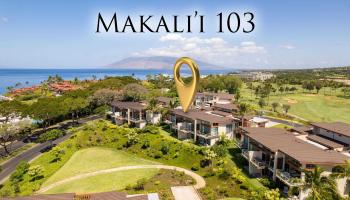 Makalii at Wailea condo # 103, Kihei, Hawaii - photo 1 of 30