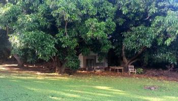 188  Ikea Pl , Pukalani home - photo 2 of 17