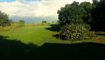 188  Ikea Pl , Pukalani home - photo 4 of 17