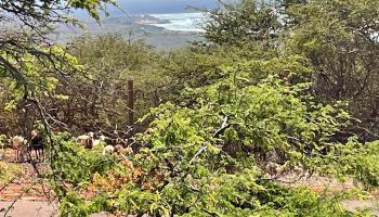 188 Kaula Rd 54 Maunaloa, Hi vacant land for sale - photo 3 of 4