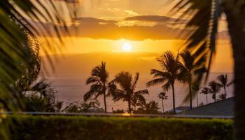 19  Halapa Pl The Ridge At Wailea,  home - photo 1 of 50