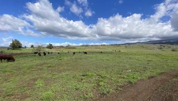 1900 Pulehu Rd  Kula, Hi vacant land for sale - photo 5 of 28