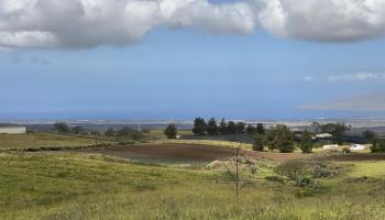 1900 Pulehu Rd  Kula, Hi vacant land for sale - photo 6 of 28