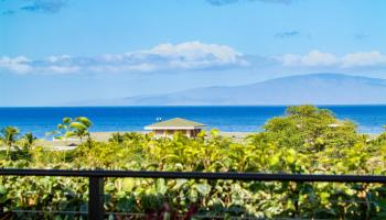 192  Halau Pl Wailea Blue Course, Wailea/Makena home - photo 3 of 48