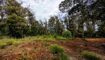 1939 B Piiholo Rd B Makawao, Hi vacant land for sale - photo 3 of 37