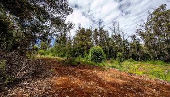 1939 B Piiholo Rd B Makawao, Hi vacant land for sale - photo 4 of 37