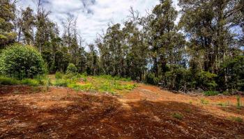 1939 B Piiholo Rd B Makawao, Hi vacant land for sale - photo 6 of 37