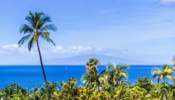 194  Panana Pl Wailea, Wailea/Makena home - photo 6 of 39