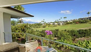 195  Lolowaa Pl Wailea Golf Estates, Wailea/Makena home - photo 6 of 30