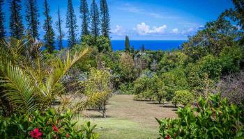 195  Mauu Pl West Kuiaha Meadows, Haiku home - photo 5 of 30