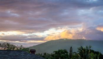 1990  Paulele Pl Kalama Park, Kihei home - photo 6 of 19