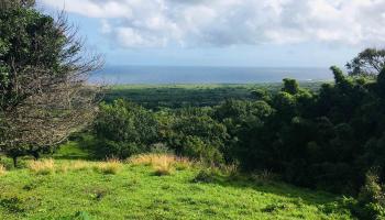 1995 Hana Hwy Unit A Hana, Hi vacant land for sale - photo 3 of 4