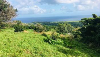 1995 Hana Hwy Unit A Hana, Hi vacant land for sale - photo 4 of 4