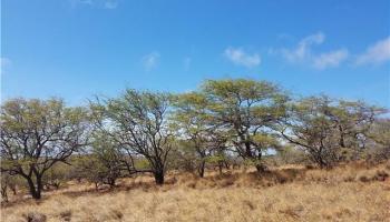 2 Pa Loa Loop  Maunaloa, Hi vacant land for sale - photo 2 of 8