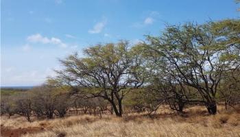 2 Pa Loa Loop  Maunaloa, Hi vacant land for sale - photo 3 of 8