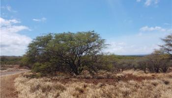 2 Pa Loa Loop  Maunaloa, Hi vacant land for sale - photo 4 of 8