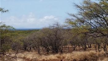 2 Pa Loa Loop  Maunaloa, Hi vacant land for sale - photo 5 of 8