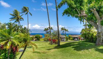 Alaeloa condo # 38, Lahaina, Hawaii - photo 4 of 50