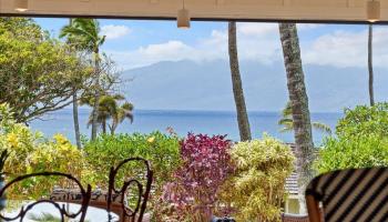 Alaeloa condo # 42, Lahaina, Hawaii - photo 4 of 48