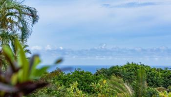 20  Kapuaimilia Pl , Haiku home - photo 4 of 50