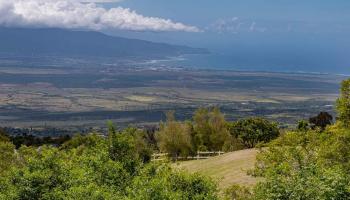 20  Kuulani Pl ,  home - photo 1 of 48