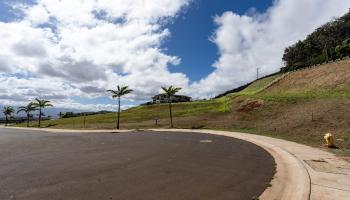 20 N Laikeha Pl   - photo 4 of 12