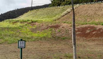 20 N Laikeha Pl   - photo 6 of 12