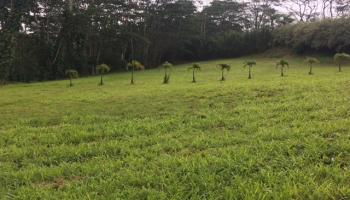 20 Waipuhia Pl Unit B Haiku, Hi vacant land for sale - photo 3 of 5