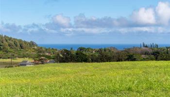 200 Hekuawa St B Haiku, Hi vacant land for sale - photo 4 of 9