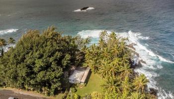 200  Keanae District Rd , Keanae home - photo 3 of 7