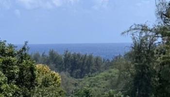 201 Heahea Pl 12 Wailuku, Hi vacant land for sale - photo 3 of 13