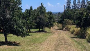 201 Heahea Pl 12 Wailuku, Hi vacant land for sale - photo 4 of 13