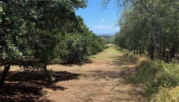 201 Heahea Pl 12 Wailuku, Hi vacant land for sale - photo 6 of 13