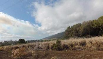 2011 Puuohala Rd 52 Wailuku, Hi 96793 vacant land - photo 4 of 6 2011 Puuohala Rd 52 Wailuku, Hi 96793 vacant land - photo 4 of 6