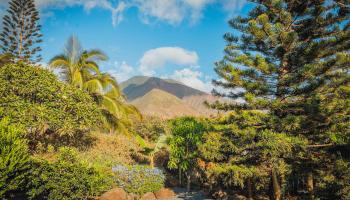 202  Paia Pohaku Pl Launiupoko, Lahaina home - photo 2 of 49