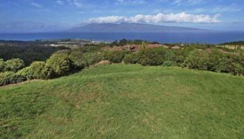 205 Keoawa St Lot 7 Lahaina, Hi vacant land for sale - photo 1 of 13