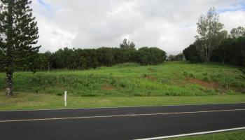 205 Keoawa St Lot 7 Lahaina, Hi vacant land for sale - photo 4 of 13